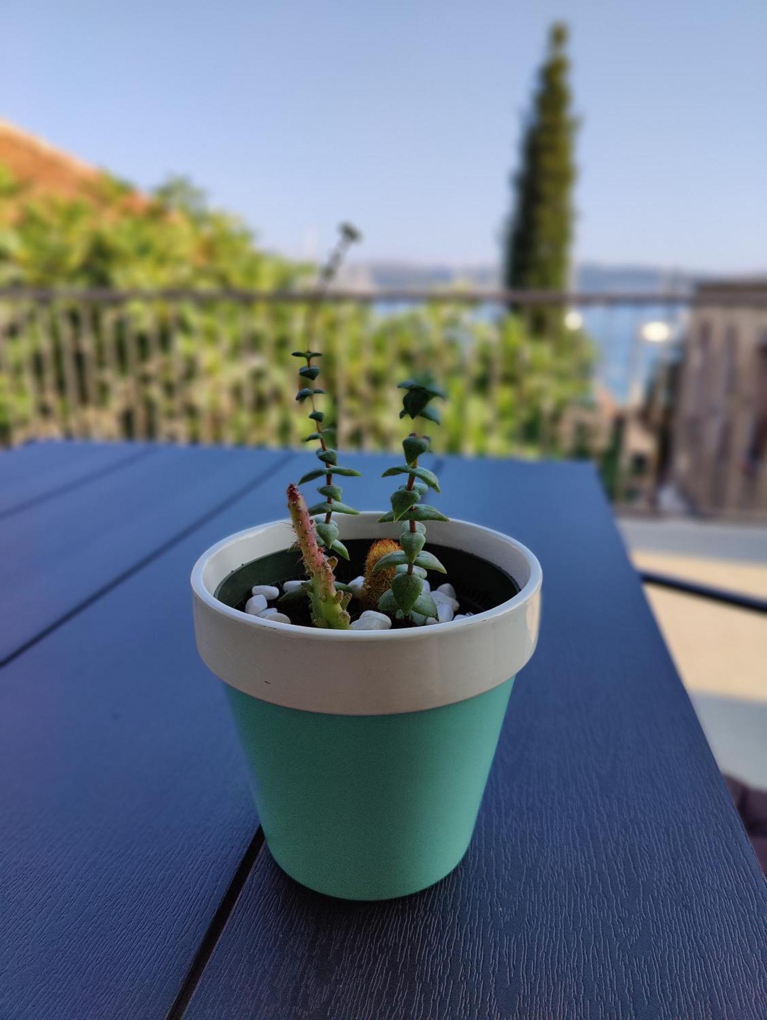 Miro Guesthouse Tivat Eksteriør billede